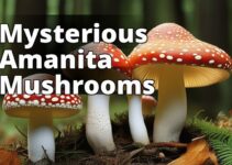 Amanita Mushroom Demystified: Everything You Need To Know