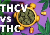Unraveling The Mystery Of Thcv And Thc: A Comprehensive Overview